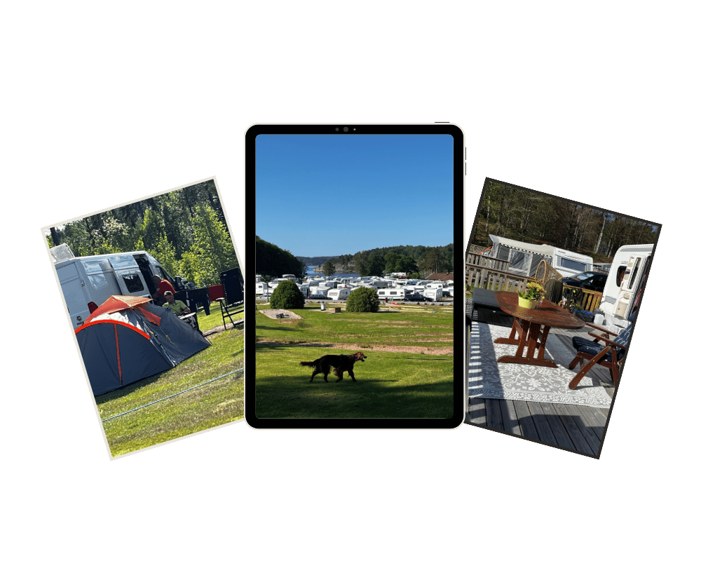 Aussenwirkung Onlinemagazin für Campingplatzbetreiber:innen.