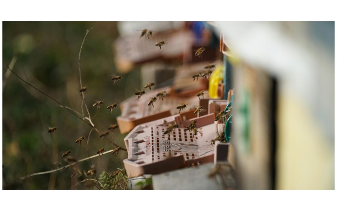 5 Dinge, die Camper auf einer Campingplatz-Website sofort suchen