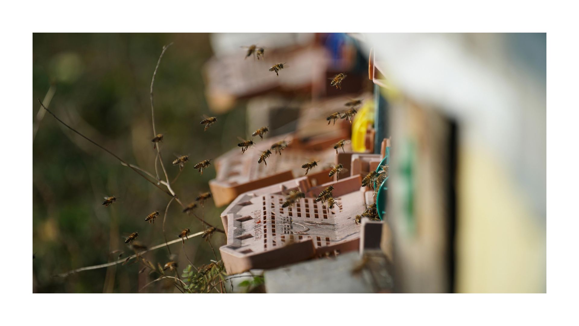 5 Dinge die Camper auf einer Campingplatz-Website sofort suchen Fotocredit Canva @sibillek.com