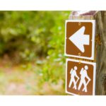 5 typische Website-Fehler, die dich Gäste kosten. Das Foto zeigt einen Wegweiser im Wald. Fotocredit Canva - Nikodash @Sibillek