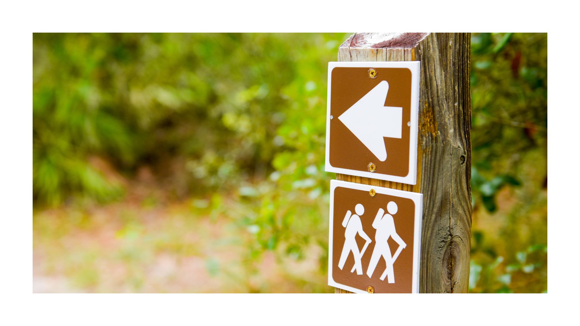 5 typische Website-Fehler, die dich Gäste kosten. Das Foto zeigt einen Wegweiser im Wald. Fotocredit Canva - Nikodash @Sibillek