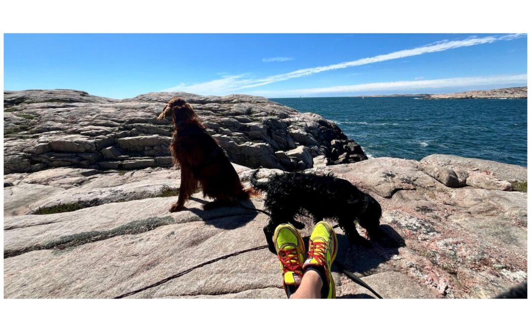 Wie Camper heute ihren Campingplatz auswählen – Erfahrungen aus über 50 Campingreisen