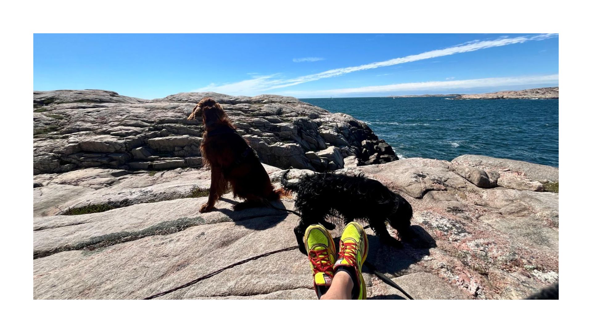 Wie Camper heute ihren Campingplatz auswählen Saltviks Camping @sibillek