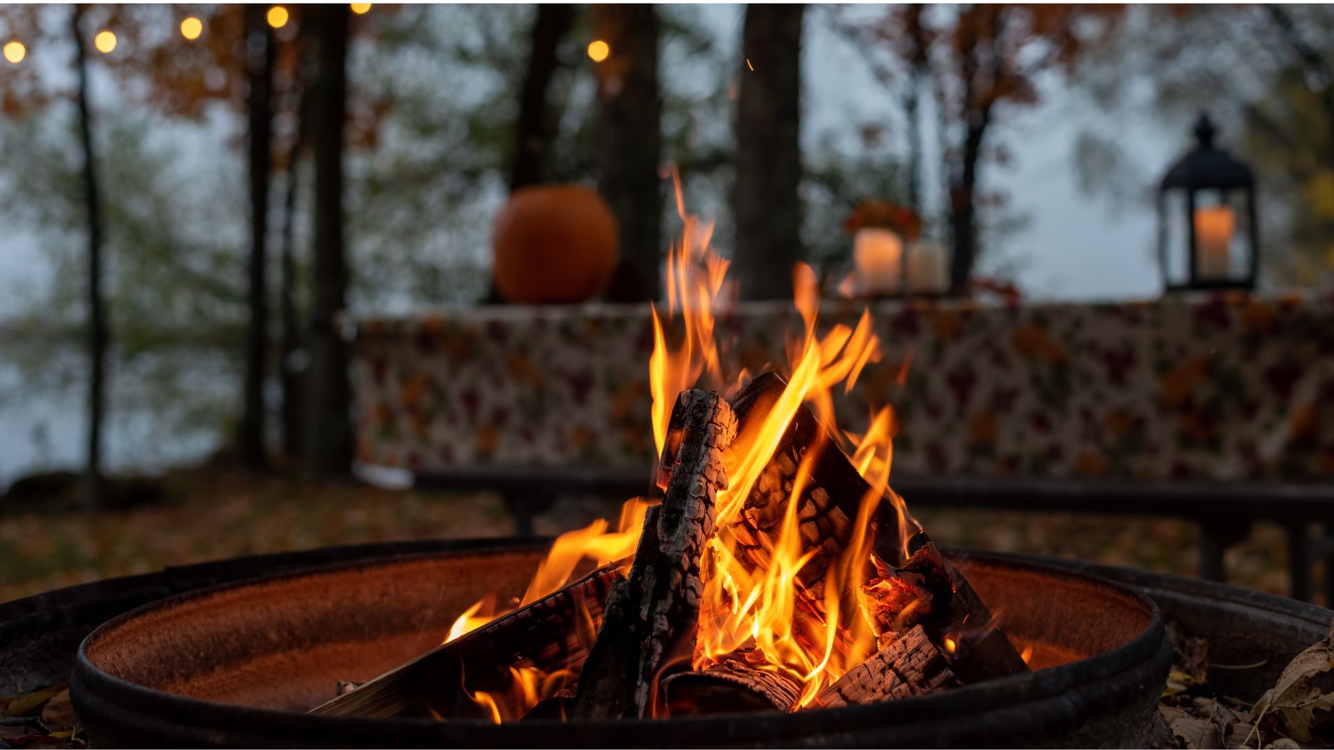 Am Lagerfeuer: Wenn Gleichgesinnte zusammenrücken Am Lagerfeuer: Wenn Gleichgesinnte zusammenrücken Fotocredit Canva @SibilleK
